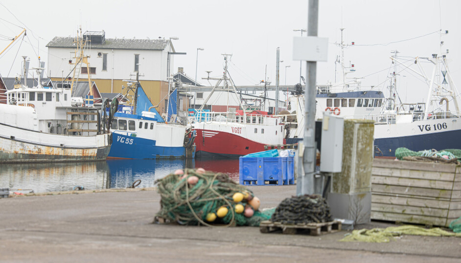 En segelbåt sjönk under fredagen i hamnen i Träslövsläge.