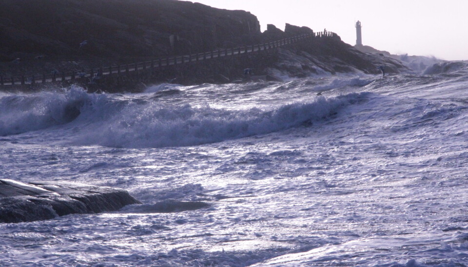 Vintern värsta lågtryck på väg in. Stormstyrkor väntas. Vintern värsta lågtryck på väg in. Stormstyrkor väntas.