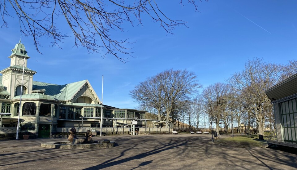 Så här ser Societetsparken ut i början av mars. Men i sommar kommer inramningen bli annorlunda - då blir det allsång i samband med Parkmusiken. Så här ser Societetsparken ut i början av mars. Men i sommar kommer inramningen bli annorlunda - då blir det allsång i samband med Parkmusiken.