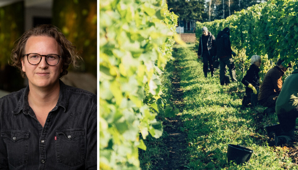 Ästad vingårds hotellchef Edvin Elghag kan se fram emot 28 nya rum – och en vinbar. Ästad vingårds hotellchef Edvin Elghag kan se fram emot 28 nya rum – och en vinbar.
