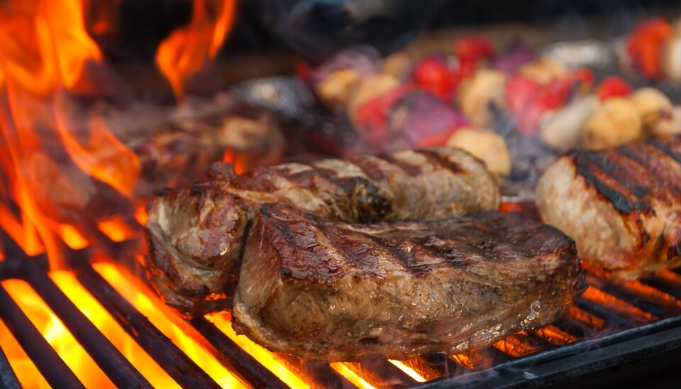 Åkullas nya grepp: en grillfestival