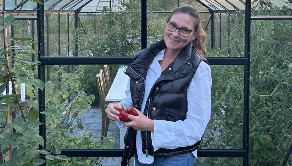 Katarina Andersson öppnar inom kort butiken ''plåthuset i Limabacka. Katarina Andersson öppnar inom kort butiken ''plåthuset i Limabacka.